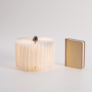 4.7 White Maple Book Lamp, Foldable LED Table Light, Warm White Reading Night Light 4.7 White Maple Book Lamp, Foldable LED Table Light, Warm White Reading Night Light